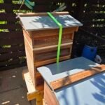 A cedar wood National beehive secured with a bright green ratchet strap for weather protection, sitting in an apiary next to another hive.