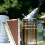 Stainless steel bee smoker with a protective heat guard and leather bellows emitting a faint trail of smoke.