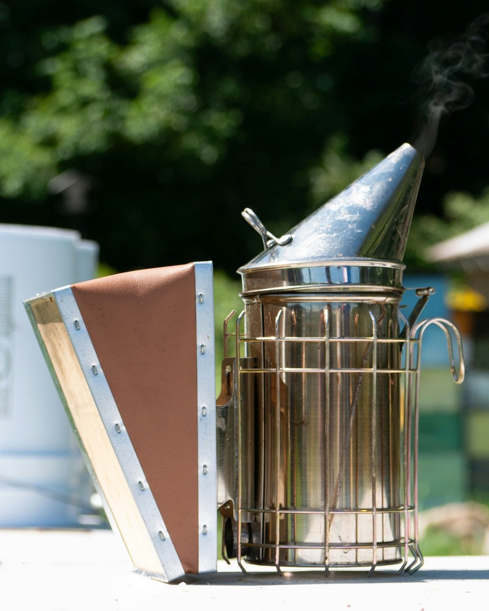 Stainless steel bee smoker with a protective heat guard and leather bellows emitting a faint trail of smoke.