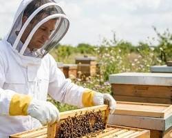 A beekeeper's protective hat and veil resting on top of a wooden beehive
