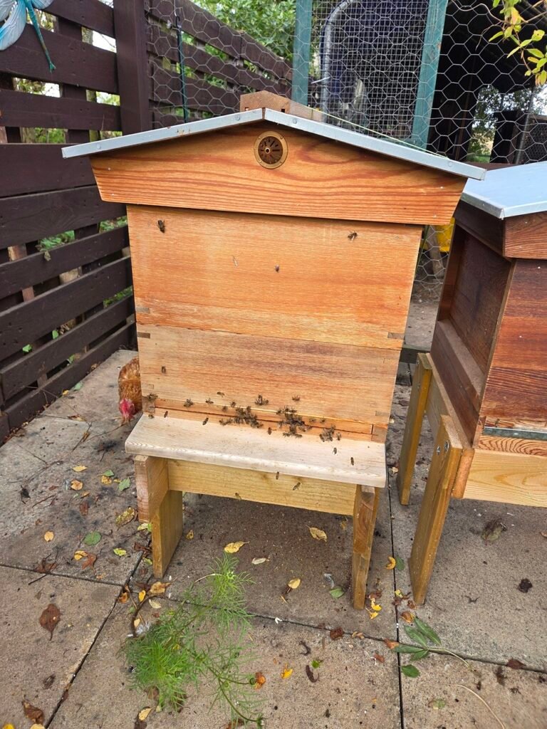Wooden National beehive with a gabled roof set up on a hive stand in a garden apiary, prepared for winter.