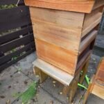 Wooden National beehive with a gabled roof set up on a hive stand in a garden apiary, prepared for winter.