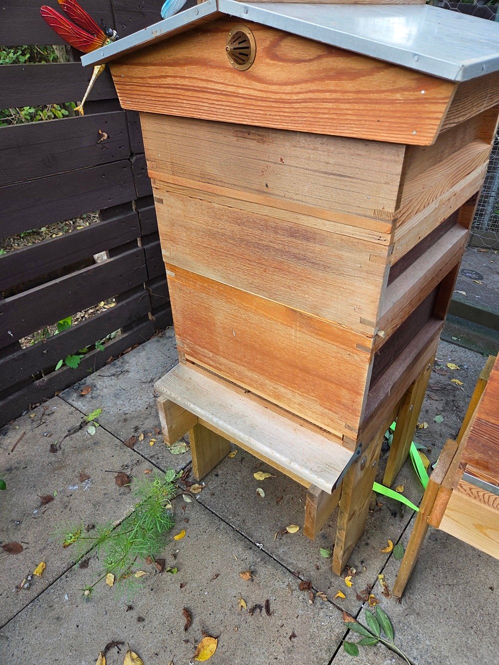 Wooden National beehive with a gabled roof set up on a hive stand in a garden apiary, prepared for winter.